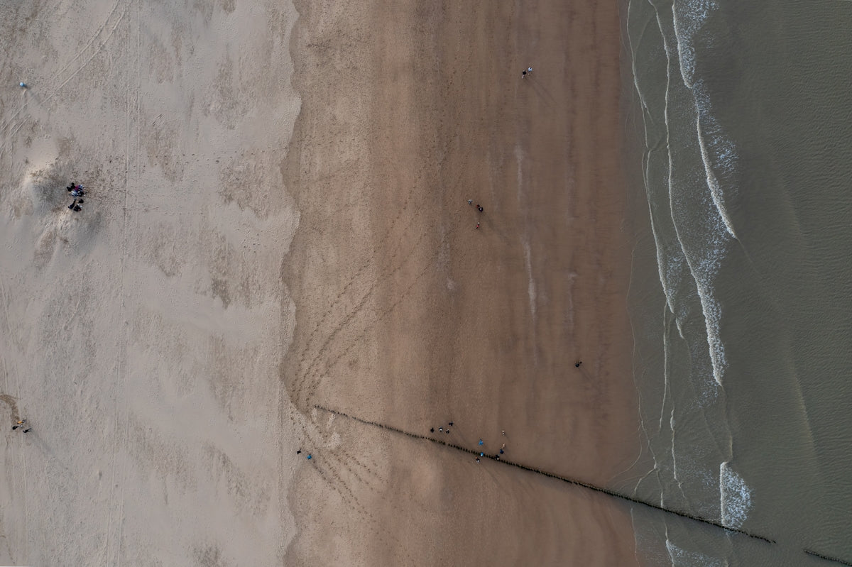 a group of ants on a wood surface