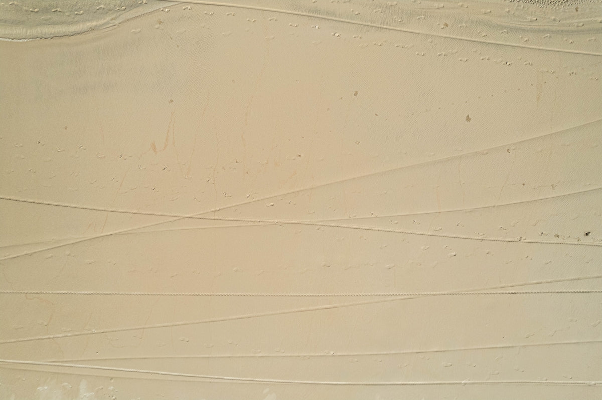 Tire tracks trace across sandy terrain.